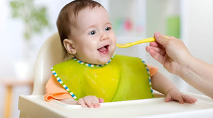 Essential Baby Feeding Products