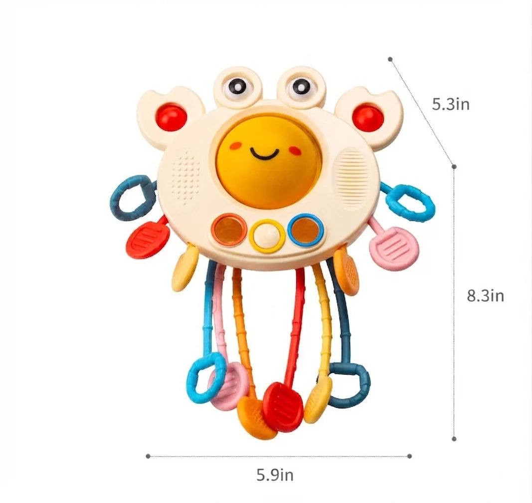 Baby Crab Fine Motor Educational Toy
